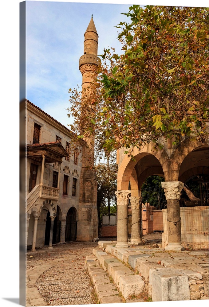 Hippocrates Plane Tree, fountain and mosque, Plateia Platanou, cobblestone square in autumn, Kos Town, Kos, Dodecanese, Gr...