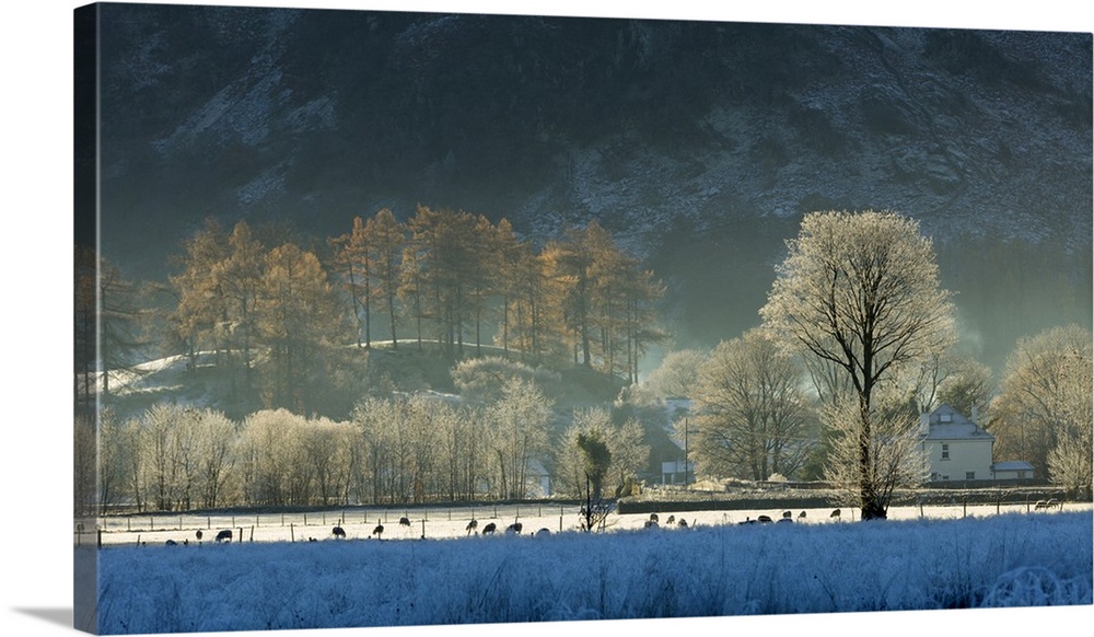 Hoar frost over Stonethwaite village in Borrowdale, Lake District National Park, Cumbria, England, United Kingdom, Europe