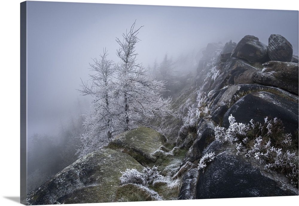 Hoar frosted trees and freezing fog at The Roaches rock formation in Winter, The Roaches, near Leek, Peak District Nationa...