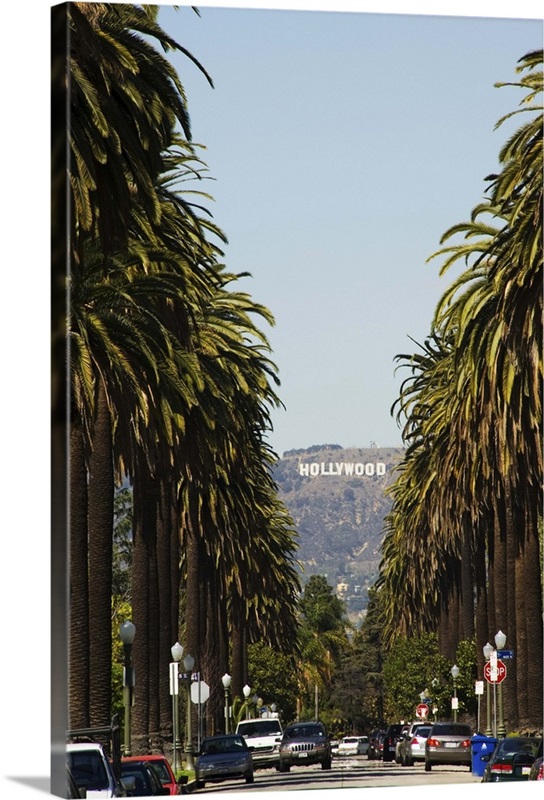 Hollywood Hills and The Hollywood sign Beverly Hills Boulevard, Los  Angeles, California Solid-Faced Canvas Print