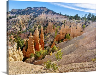 Hoodoos At Bryce Point, Bryce Canyon National Park, Utah