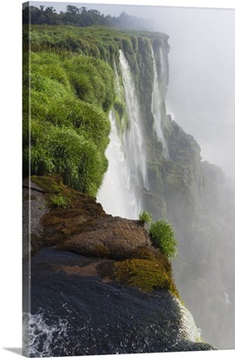 Iguazu Falls from Argentinian side, on border of Argentina and Brazil, Argentina