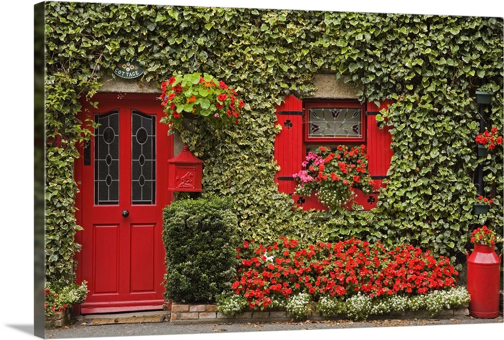 Ivy covered cottage, Town of Borris, County Carlow, Leinster, Republic of Ireland