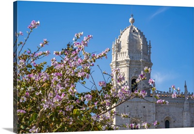 Jeralnimos Monastery And Spring Blossom In Empire Square Garden, Lisbon, Portugal