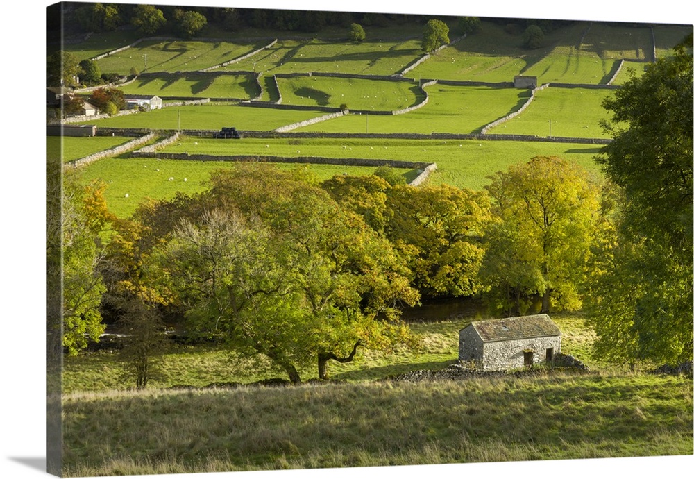 Kettlewell village field sysyem, out barns and dry stone walls, in Wharfedale, The Yorkshire Dales, Yorkshire, England, Un...