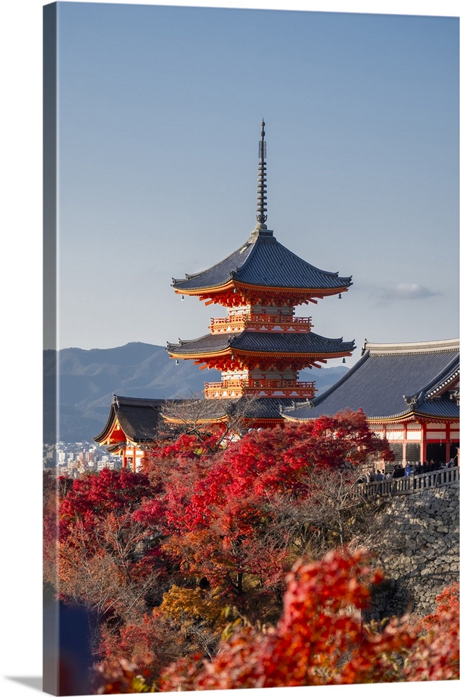 Kiyomizu-dera Buddhist temple and Sanjunoto three Story Pagoda with autumn color, Kyoto, UNESCO World Heritage Site, Honsh...