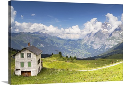 Kleine Scheidigg, Jungfrau Region, Bernese Oberland, Switzerland
