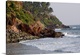 image thumbnail of Kovalam Beach, Trivandrum, Kerala, India, Asia