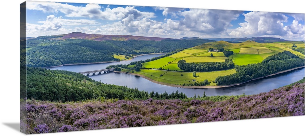 View of Ladybower Reservoir and flowering purple heather, Peak District National Park, Derbyshire, England, United Kingdom...