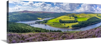 Ladybower Reservoir And Flowering Purple Heather, Peak District National Park, England