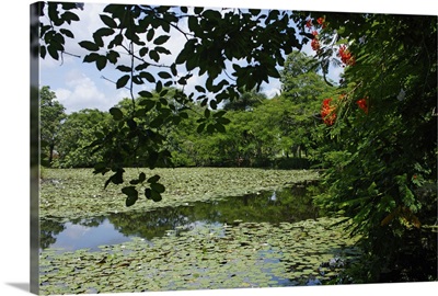 Laguna del Tesoro, Zapata Peninsula, Matanzas, Cuba, West Indies