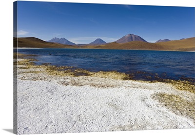 Laguna Miscanti, Atacama Desert, Antofagasta Region, Norte Grande, Chile