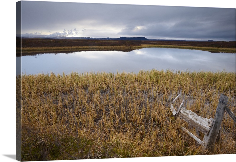 Lake Myvatn, bird protected area in autumn, north-west shore of lake, looking eastwards, Hverfjall volcano visible in the ...