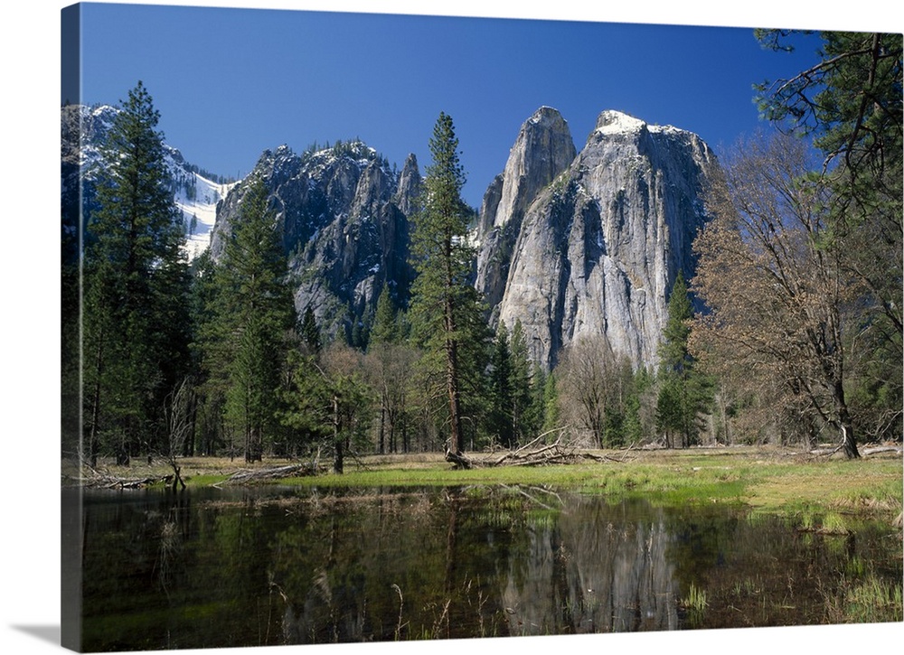 Lake reflecting trees and the Cathedral Rocks in the Yosemite National Park, California
