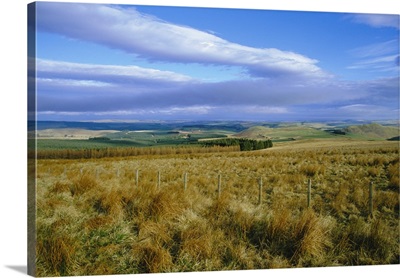 Landscape in the Scottish Borders, Scotland, UK
