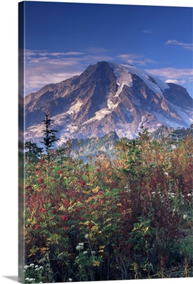 Landscape, Mount Rainier National Park, Washington state