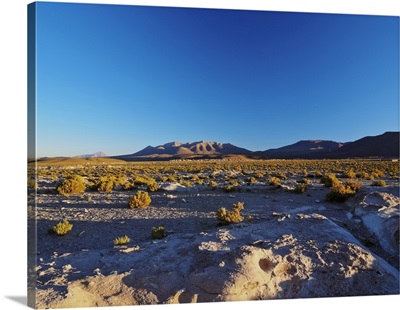 Landscape near the Villa Mar village at sunset, Bolivia