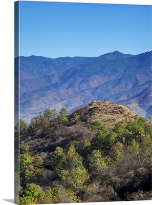 Landscape Of Monte Alban, Oaxaca, Mexico
