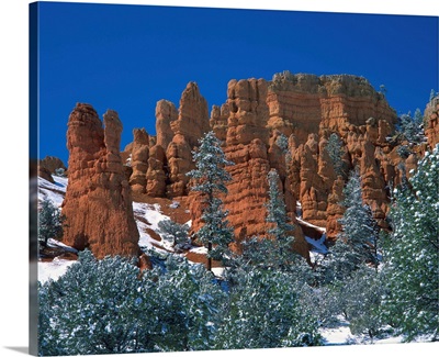 Landscape with trees and cliffs of red rock formations, Red Canyon, Utah