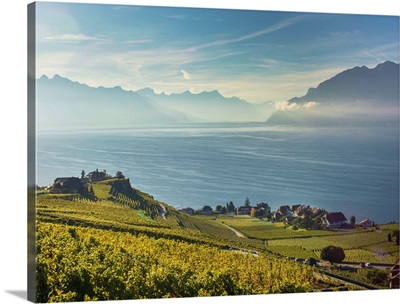 Lavaux terraced vineyards on Lake Geneva, Montreux, Canton Vaud, Switzerland