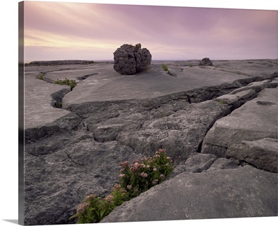 Limestone rocks near the sea, at sunset, The Burren, Munster, Republic of Ireland