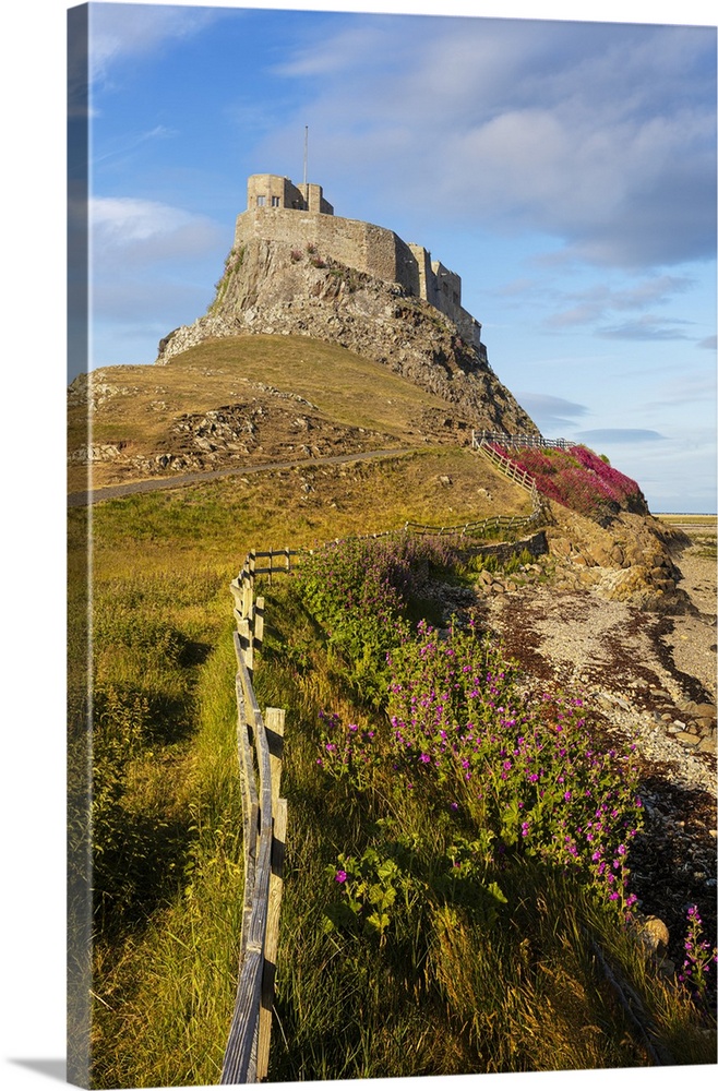 Lindisfarne Castle on a clifftop, Lindisfarne Island, Holy Island, Lindisfarne, Northumberland, England, United Kingdom, E...