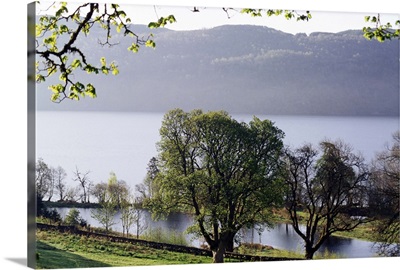 Loch Ness, Highland region, Scotland, United Kingdom, Europe