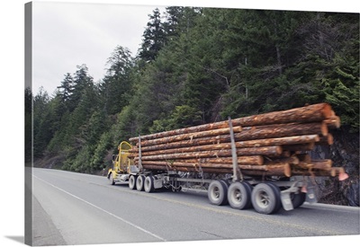 Logging truck in MacMillan Provincial Park, British Columbia, Canada
