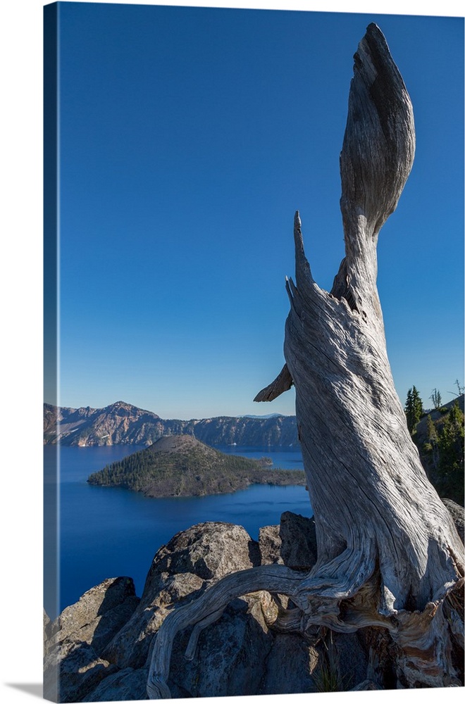 Lone tree trunk over Crater Lake, the deepest lake in the U.S.A., part of the Cascade Range, Oregon