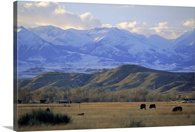 Looking west towards the Rocky Mountains, Sweet Grass County, Montana