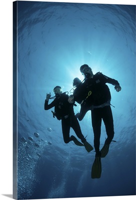 Low angle view of three scuba divers, backlit, South Sinai, Red Sea, Egypt, Africa