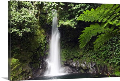 Malabsay Waterfall, Mount Isarog National Park, Bicol, Luzon, Philippines