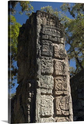 Mayan glyphs on the side of Stela P, West Court, Copan Archaeological Park, Honduras