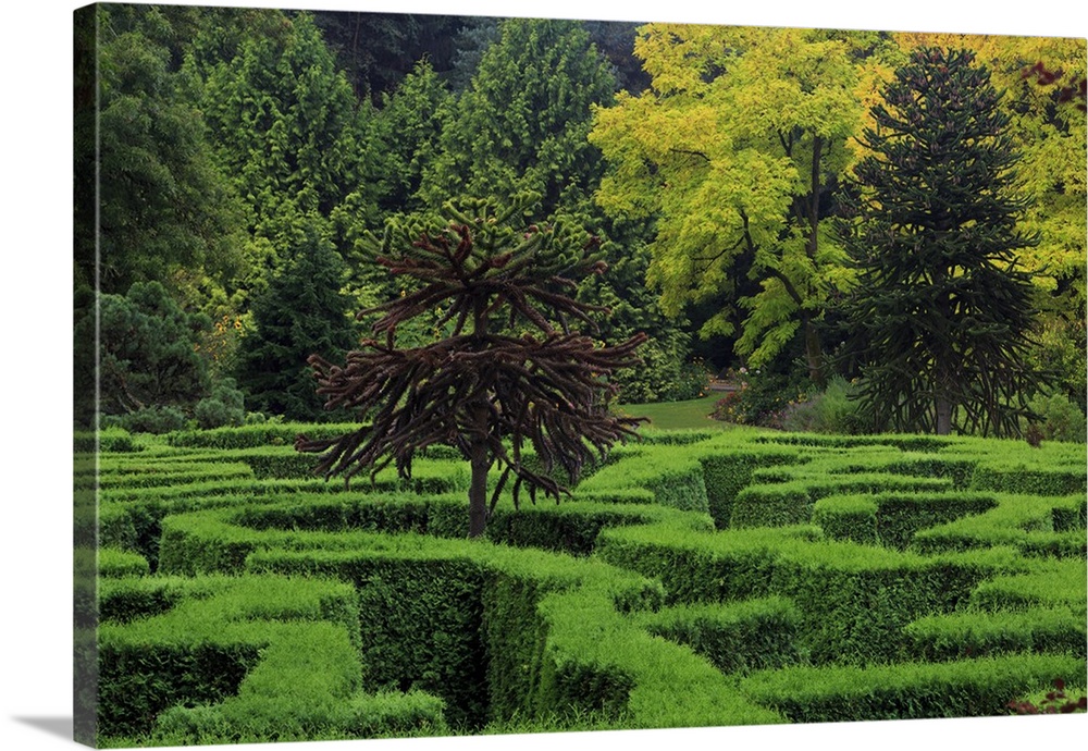 Maze, VanDusen Gardens, Vancouver, British Columbia, Canada, North America