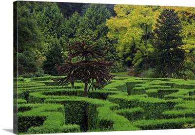 Maze, VanDusen Gardens, Vancouver, British Columbia, Canada