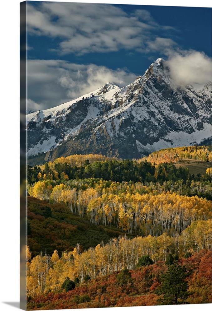 Mears Peak with snow and yellow aspens in the fall, Colorado, USA
