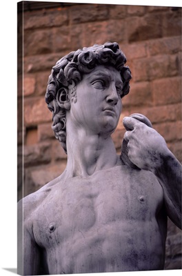 Michelangelo's David, Piazza della Signoria, Florence, Tuscany, Italy, Europe