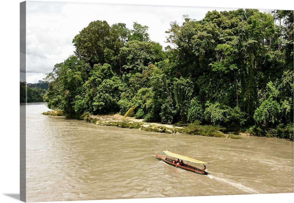 Misahualli in The Oriente, head of navigation on Rio Napo (Amazon), Ecuador, South America