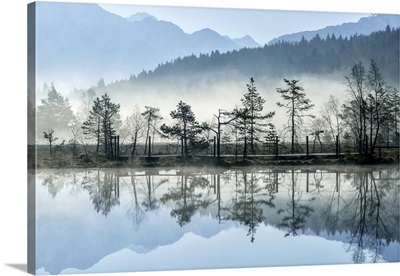 Mist Rising From The Ponds Of The Nature Reserve Of Pian Di Gembro, Lombardy, Italy