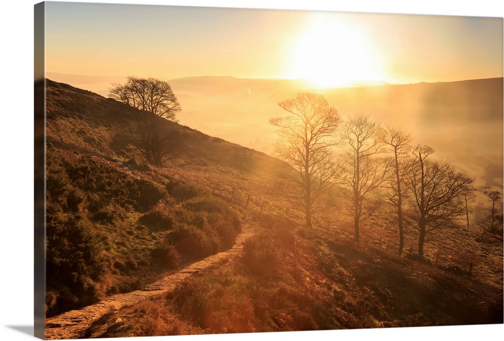 Misty and frosty sunrise over skeletal trees above the Hope Valley in winter, Castleton, Peak District, Derbyshire, Englan...