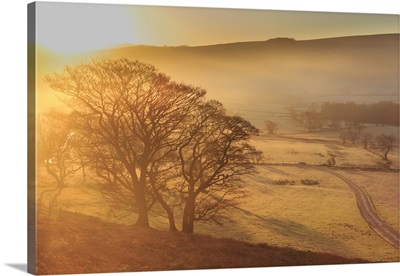 Misty and frosty sunrise with a copse of trees in winter, Castleton, England