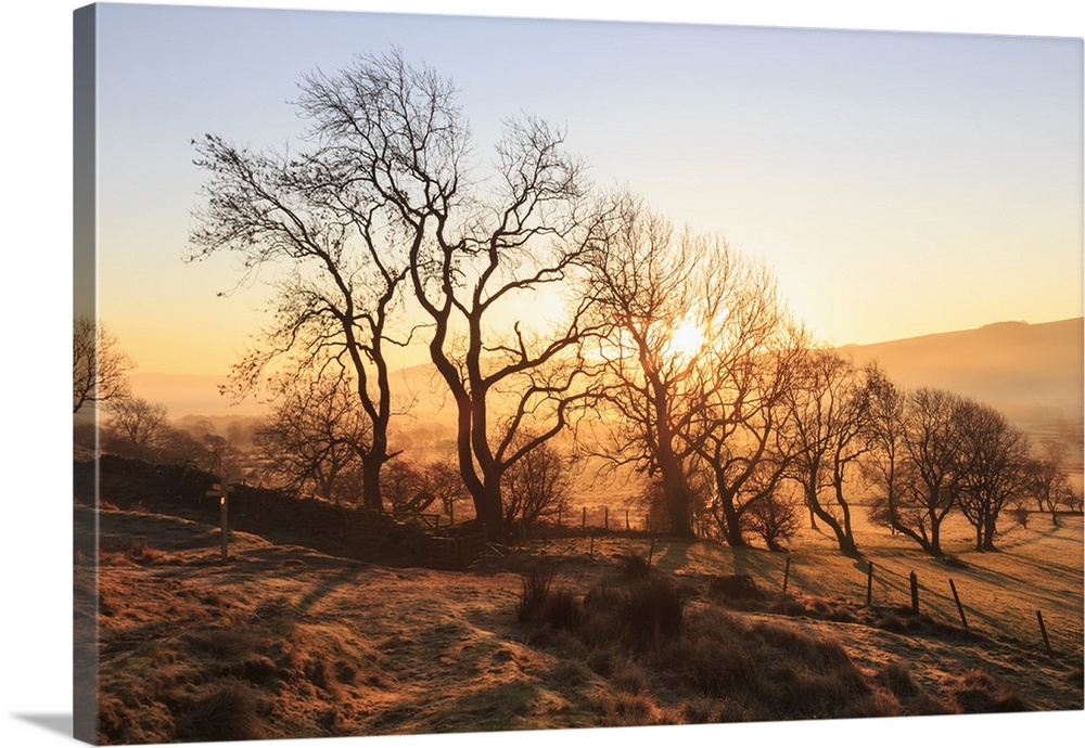 Misty and frosty sunrise with a copse of trees in winter, Castleton, Peak District National Park, Hope Valley, Derbyshire,...