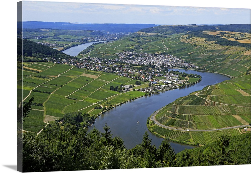 Moselle Valley near Mehring, Rhineland-Palatinate, Germany