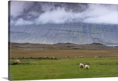 Mount Bulandstindur, Berufjordur, Iceland