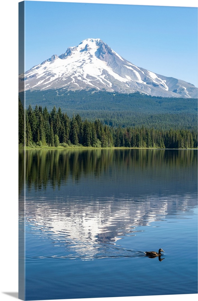 Mount Hood, part of the Cascade Range, perfectly reflected in the still waters of Trillium Lake, Oregon