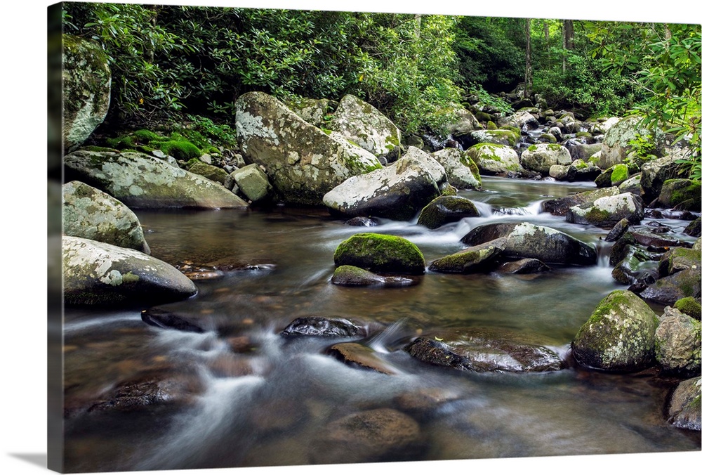 Mountain creek flowing through dense forest woods near the Appalachian Trail, North Carolina, United States of America, No...