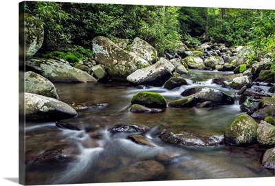 Mountain creek flowing through dense forest woods near the Appalachian Trail, NC