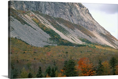 Mountain in fall, White Mountain National Forest, New Hampshire