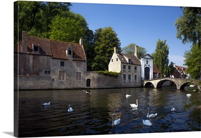 Mute swans at the Minnewater Lake and Begijnhof Bridge with entrance to Beguinage