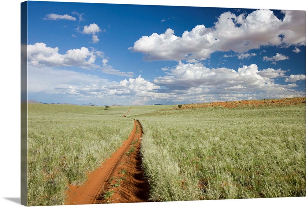 Namib Rand Nature Reserve, Namibia, Africa